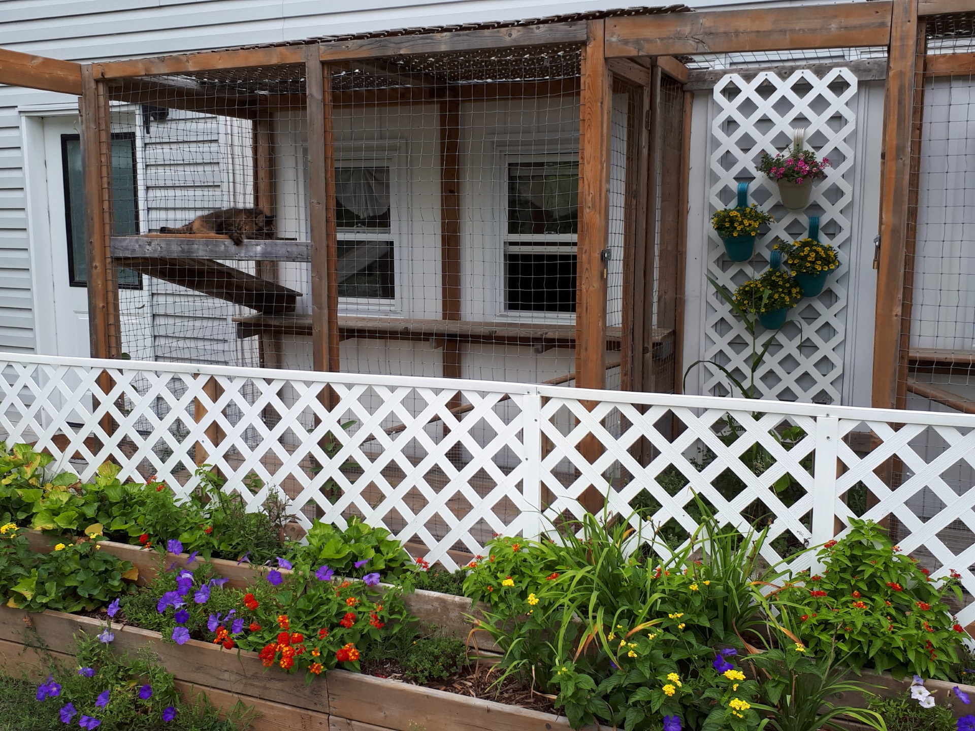 Accommodation Cat suites